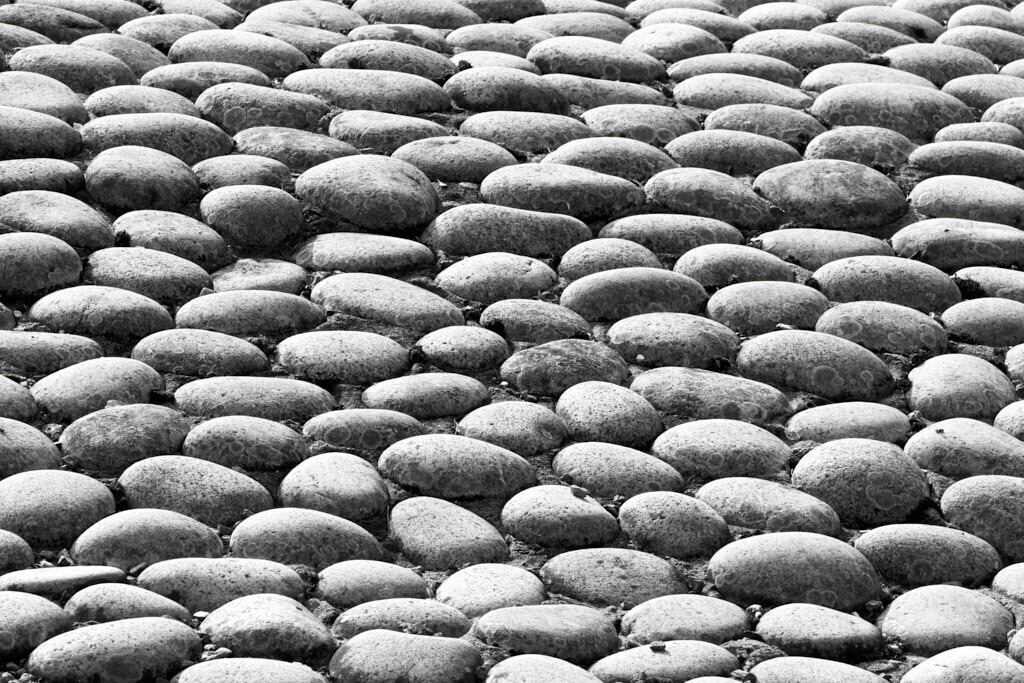 Steinweg | Ich erzähle Geschichten als Autor und als Fotograf. Hier finden Sie hochwertige Naturfotografie, Reisefotografien und Bilder aus dem urbanen Lebensraum.  - Realisiert mit Pictrs.com