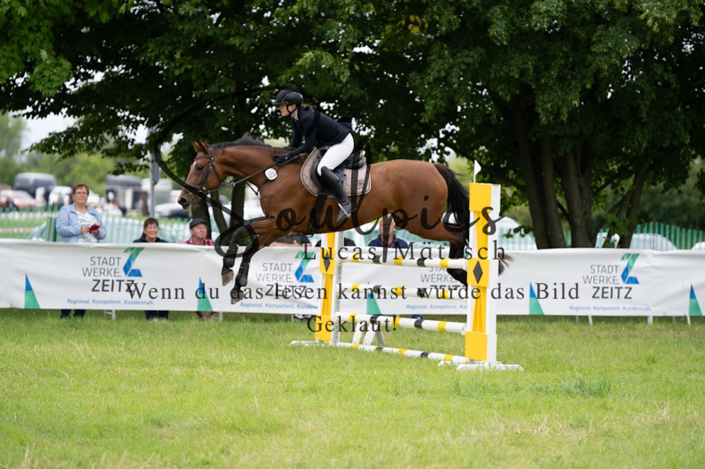 A7V03968 | Pferdefotograf