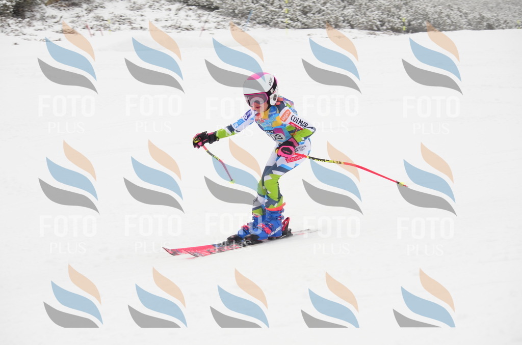 C1406 | holidayphoto