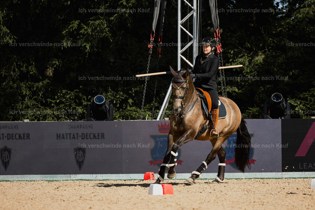 Katja7_FHC2025-27492 | working equitationturnier fotograf videograf stoibphotography marixx film working equitation deutschland reitsport turnierfotografie eventfotografie equestrian events