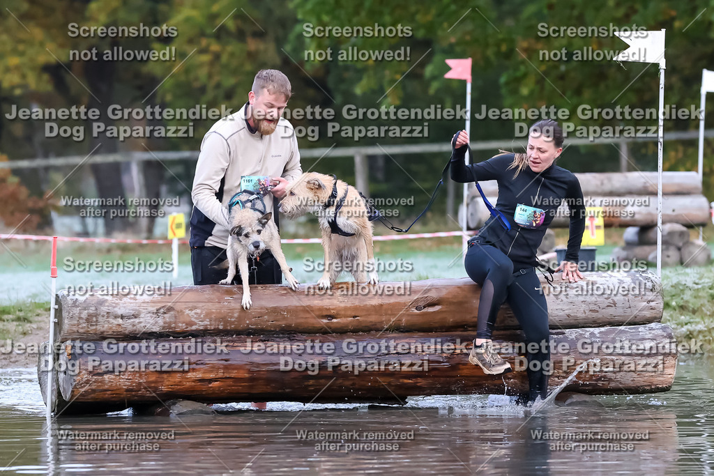 Dog Paparazzi - Strongdog 10-25-6175 | Dog Paparazzi Jeanette Grottendiek Fotografie & Videografie - Realisiert mit Pictrs.com