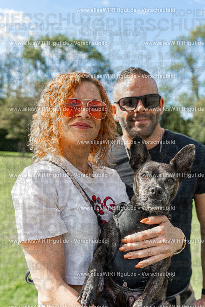 Hundeschwimmen_Volksbad_2026-allesWIRTHgut_Tierfotografie-2609061529-7R501567 | Professionelle Tierfotografie in Mönchengladbach von Daniel Wirth (allesWIRTHgut). Liebevolle & natürliche Bilder von Hunden & Katzen für unvergessliche Erinnerungen.