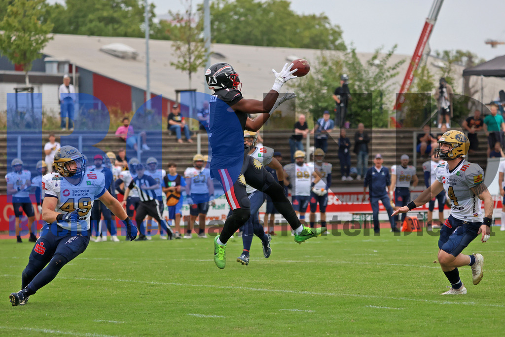 20250816-B-Duesseldorf-Panther-vs-Dresden-Monarchs-IMG_4008 | GFL1: Düsseldorf Panther vs Dresden Monarchs - Realisiert mit Pictrs.com