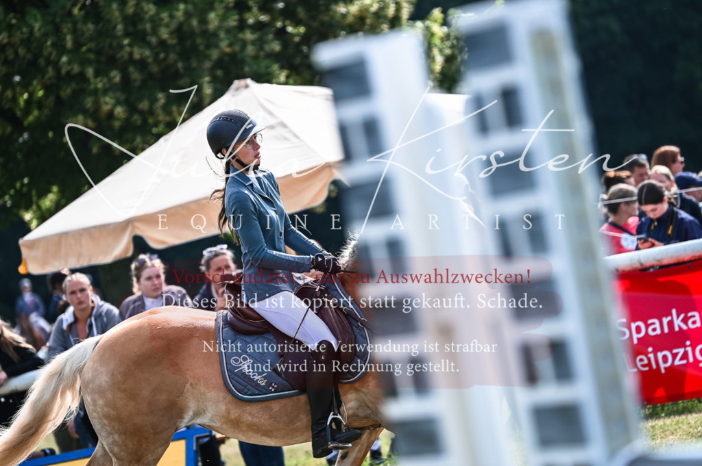 DSC_7930 | Pferde- und Turnierfotografie in Westsachsen. Pferdeportraits, Auftragszeichnungen und intuitive Kunst.