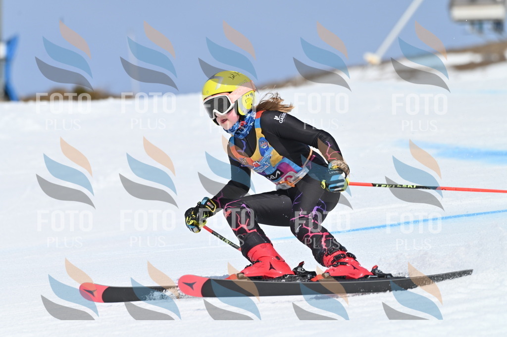 BGV_0089 | holidayphoto