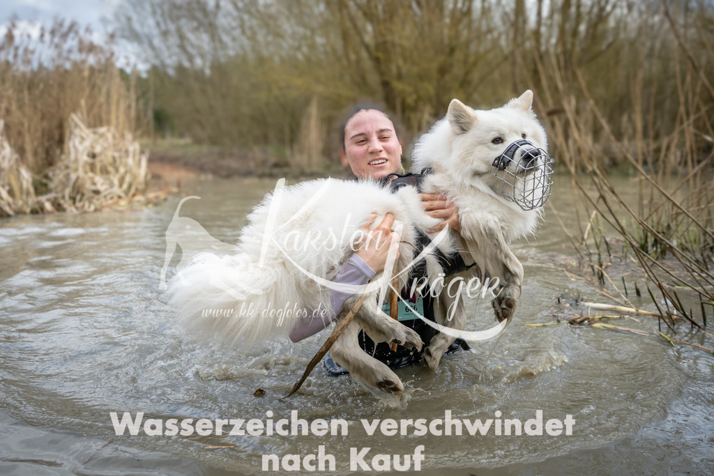 1557_ZZ95032 | kk-dogfotos