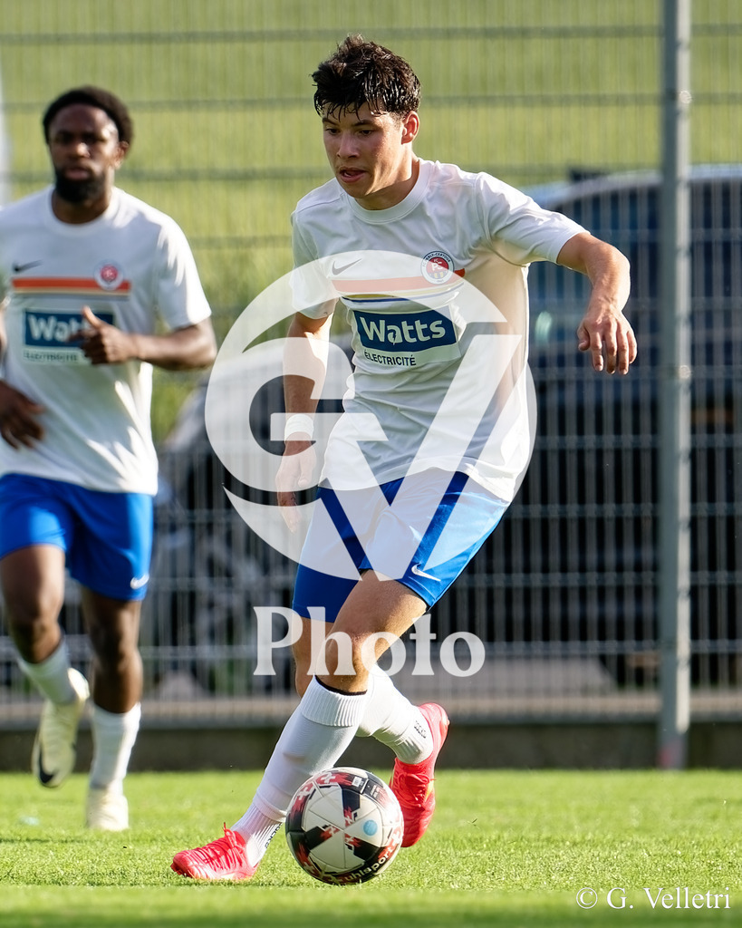 DSC_4662 | Velletri Photo