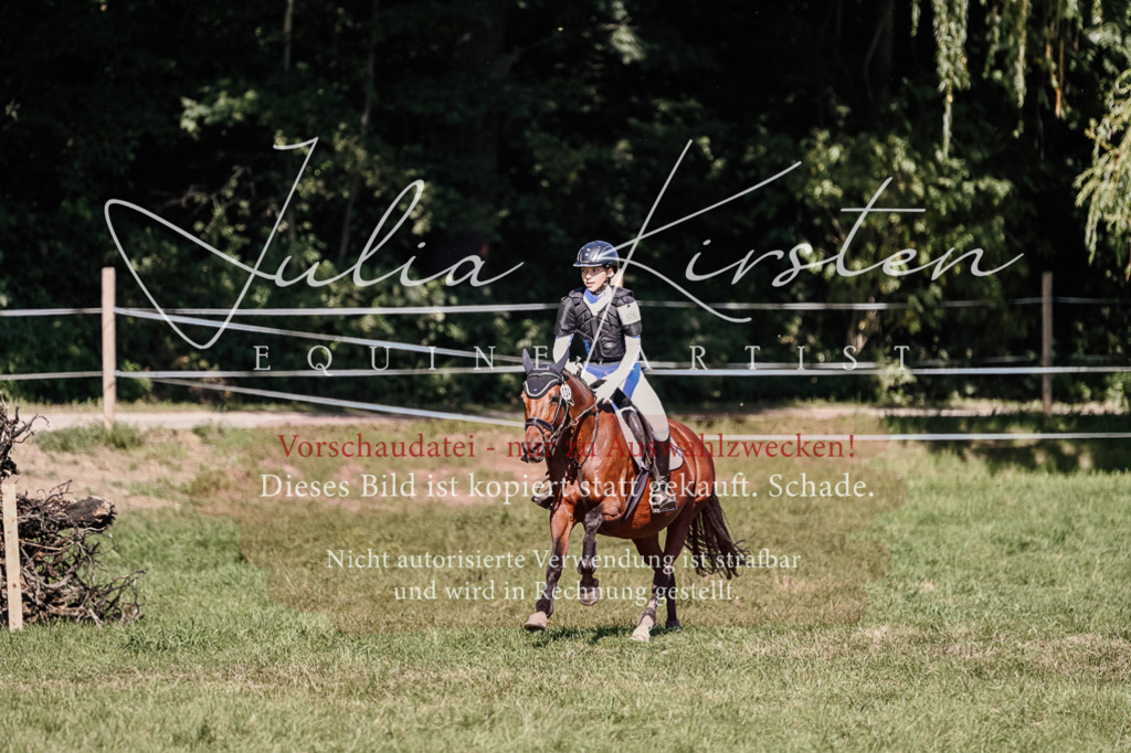 DSC_2832 | Pferde- und Turnierfotografie in Westsachsen. Pferdeportraits, Auftragszeichnungen und intuitive Kunst.