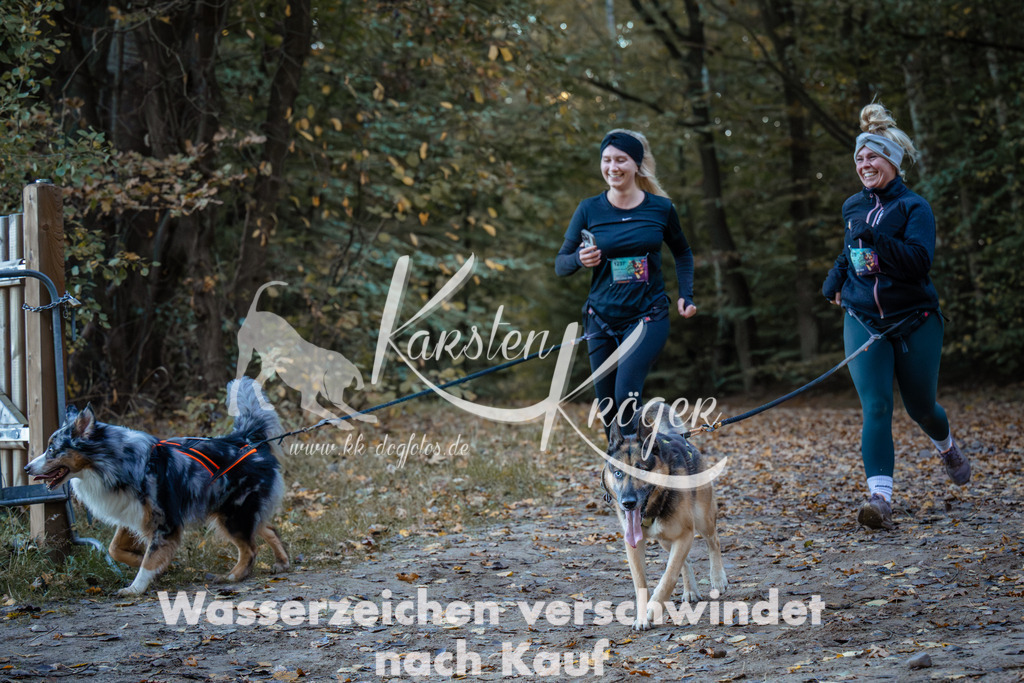 0856_ZZ96587 | kk-dogfotos