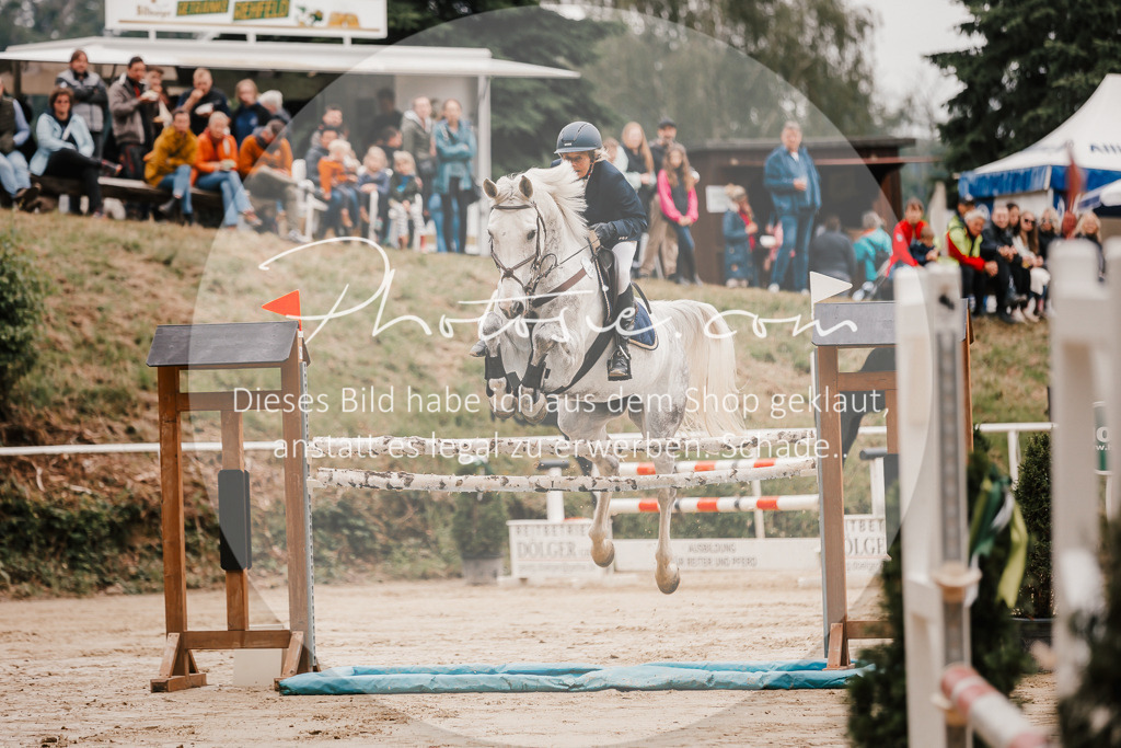 3I6A2007 | Stimmungsvolle Portraits und Reitsportfotografie im Ruhrgebiet und im Münsterland.

Pferdefotografie, Hundefotografie, Tierfotografie, Reportagen, Portraits von Tier und Mensch, Turnierfotografie in Bochum, Recklinghausen, Marl, Haltern am See, Dülmen.. - Realisiert mit Pictrs.com