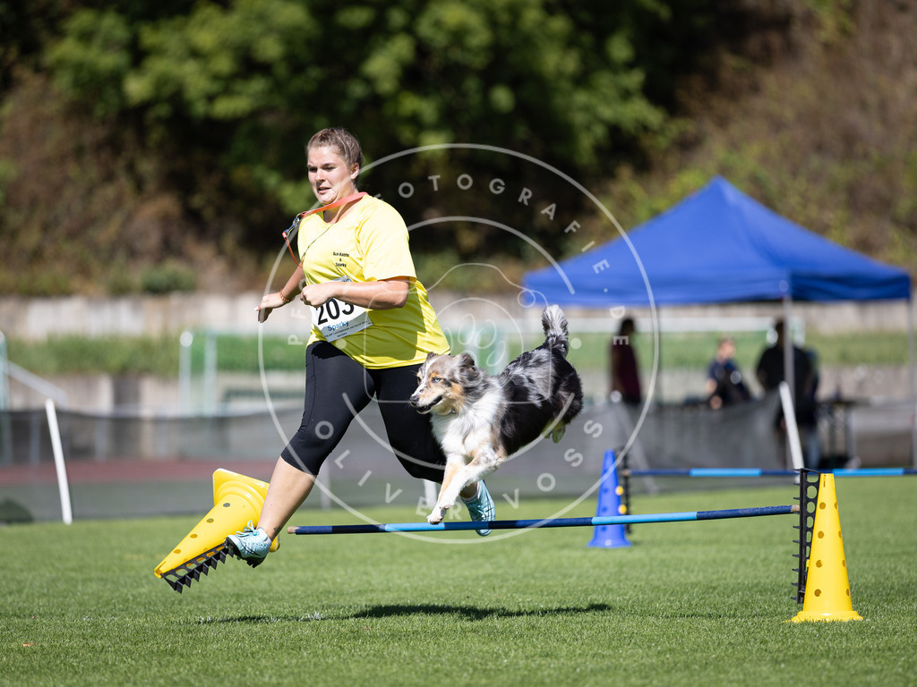 Pfotenfotografie_DV3A5056 | Hundefotografie, Tierfotograf, Pfotenfotografie, Fotoshooting Hund, Hunde Portrait, Hundesport, Hundeportraits, Heideshooting, Hunde, Sportfotograf, Hundefotograf, Turnierhundsport, THS,  - Realisiert mit Pictrs.com