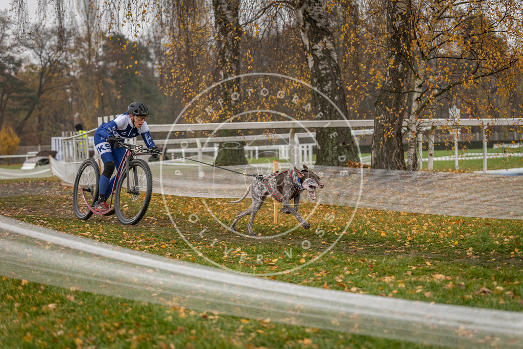 CaniXpix_DV3A7945 | Hundefotografie, Tierfotograf, Pfotenfotografie, Fotoshooting Hund, Hunde Portrait, Hundesport, Hundeportraits, Heideshooting, Hunde, Sportfotograf, Hundefotograf, Turnierhundsport, THS,  - Realisiert mit Pictrs.com