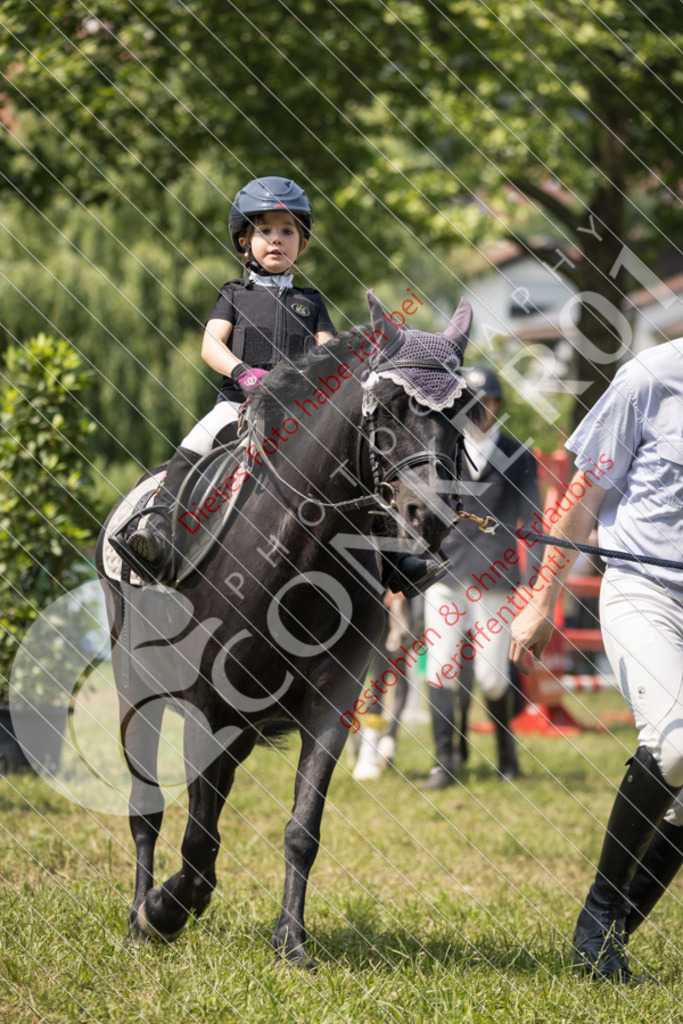 IMG_0318 | Sport-, Event- und Tierfotos in Profiqualität. Einfach auswählen, bestellen und herunterladen. Dein Moment – perfekt festgehalten.