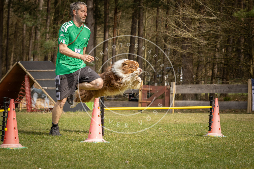 Pfotenfotografie_DV3A6650 | Hundefotografie, Tierfotograf, Pfotenfotografie, Fotoshooting Hund, Hunde Portrait, Hundesport, Hundeportraits, Heideshooting, Hunde, Sportfotograf, Hundefotograf, Turnierhundsport, THS,  - Realisiert mit Pictrs.com