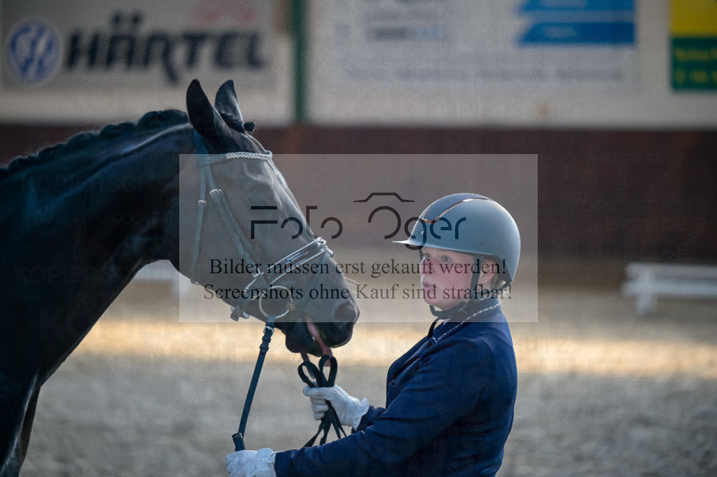 Reitturnier Voxtrup | Entdecke hochwertige Reitturnierfotos von Foto Oger. Professionell, emotional und authentisch – jetzt Lieblingsmomente im Shop bestellen.Deutschlandweite Turnierfotografie. - Realisiert mit Pictrs.com