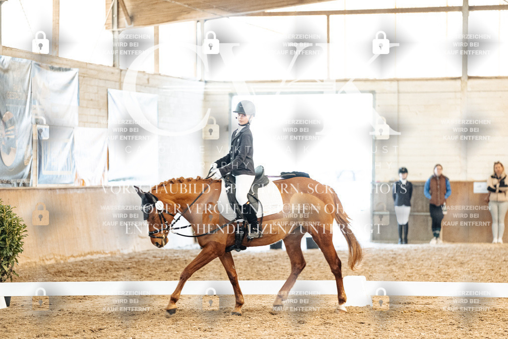 CK909944 | Turnierfotografie Pferdefotografie Trier Rheinland-Pfalz Pferdesport Reitsport Tierfotografie Sportfotografie Pferdevideo Pferdevideografie Equestrianvideography equestrianphotography  - Realized with Pictrs.com