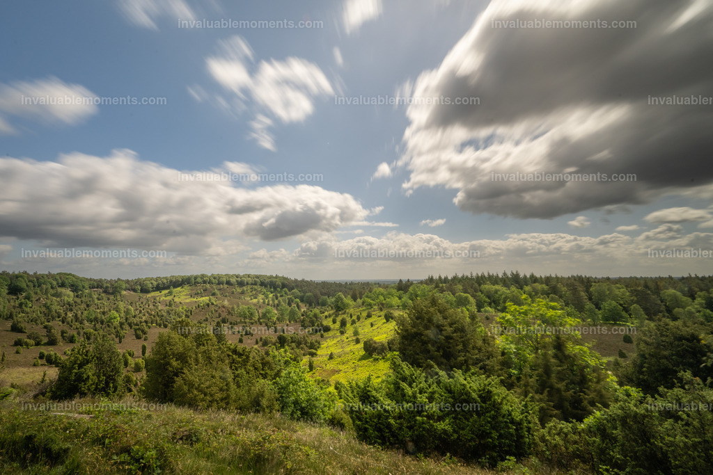 DSC_3286 | invaluablemoments.com - Realisiert mit Pictrs.com