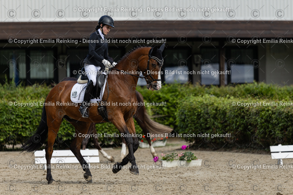 CL5A6450-2 | Emilia Reinking Fotografie - Realisiert mit Pictrs.com