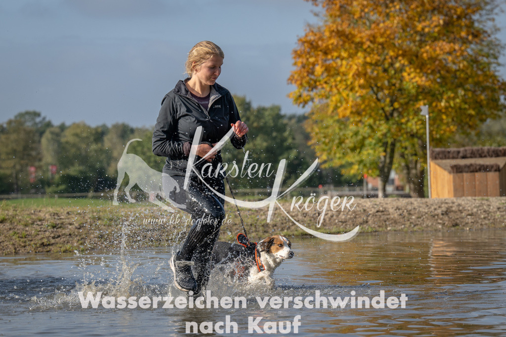 1105_ZZ91373 | kk-dogfotos
