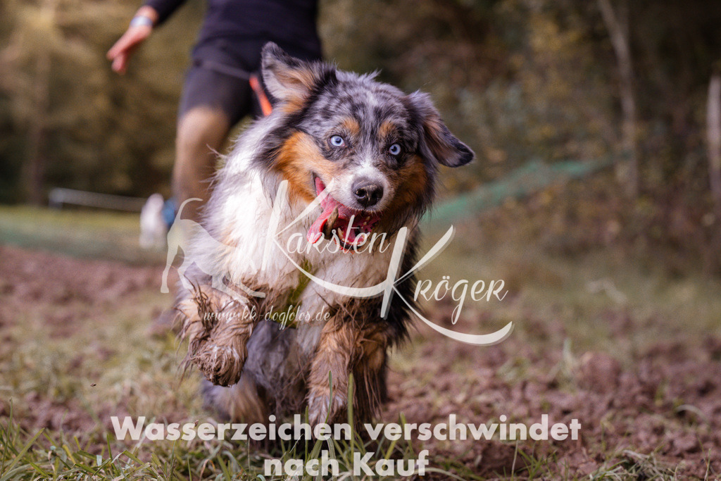 1234_ZZ90266 | kk-dogfotos