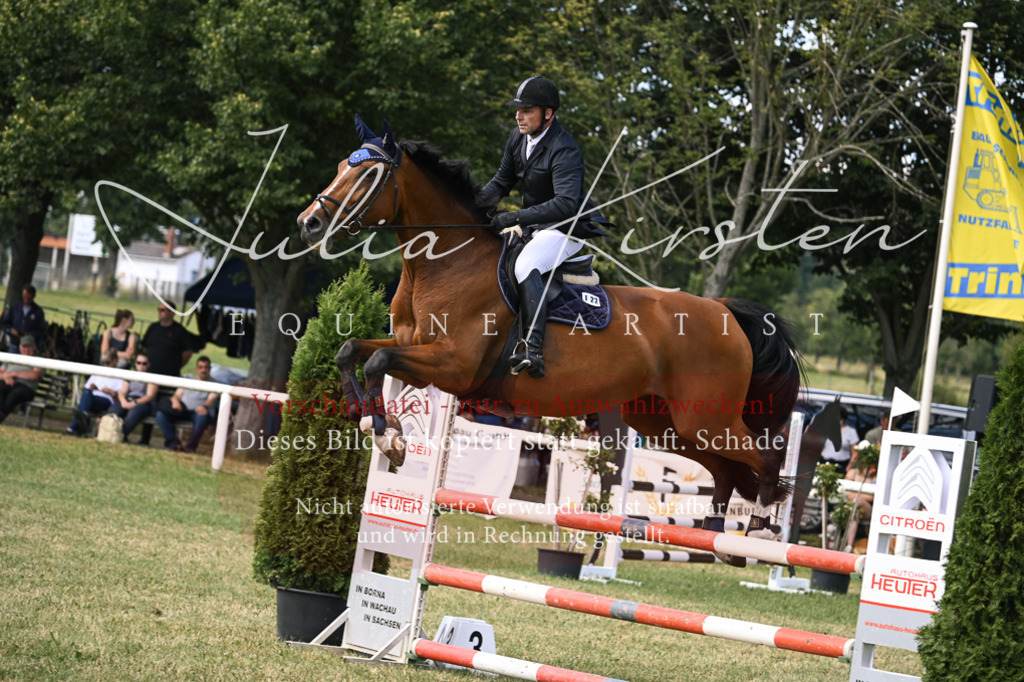 DSC_0540 | Pferde- und Turnierfotografie in Westsachsen. Pferdeportraits, Auftragszeichnungen und intuitive Kunst.