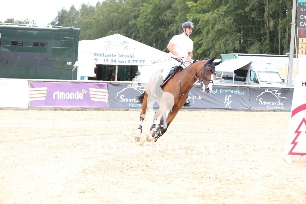 DL2Q3049 | Willkommen bei Brunnmayr - Design & Fotografie – Ihrem Spezialisten für Reitturniere und Pferdeveranstaltungen in Oberösterreich, Salzburg und Bayern! Seit über 17 Jahren sind wir leidenschaftlich dabei.