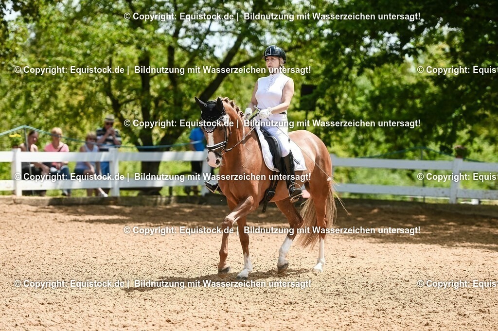 20230716_03_Dressurprfg. Kl.L - Tr._0484 | equistock