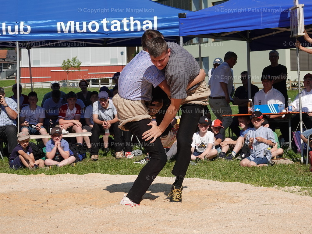 DSC04770 | Schwingen - Realisiert mit Pictrs.com