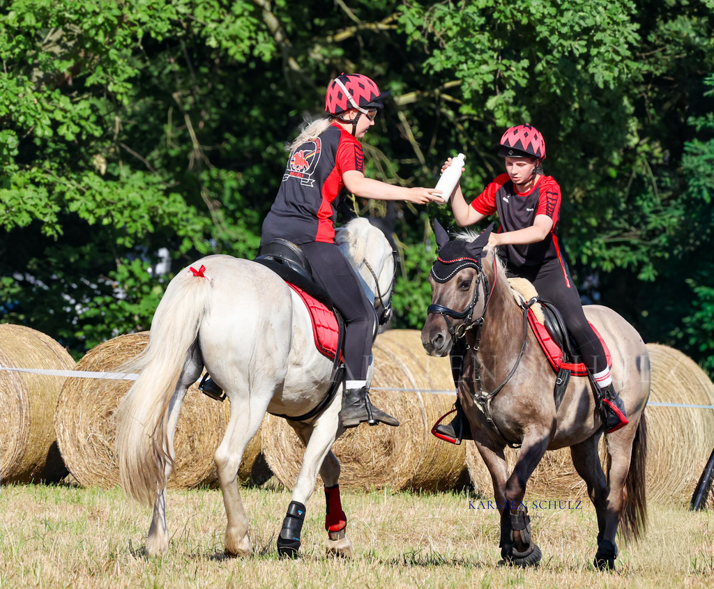 1B3A8678 | Reitsport Reiten