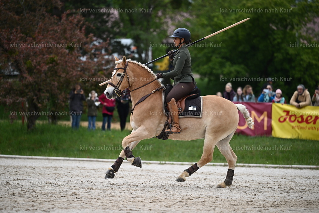 PI26_SP_Sara_Landvogt_226_4665.JPG | working equitationturnier fotograf videograf stoibphotography marixx film working equitation deutschland reitsport turnierfotografie eventfotografie equestrian events