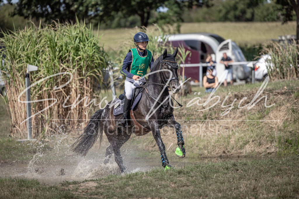 20250907-_3LI0830 | Tierfotografie Pferde, Hunde, Katzen, Haustiere.
Turnierfotografie Reitturniere, Reiten, Springreiten, Dressur in Hanau, dem Main-Kinzig-Kreis und dem Rhein-Main- Gebiet um Frankfurt