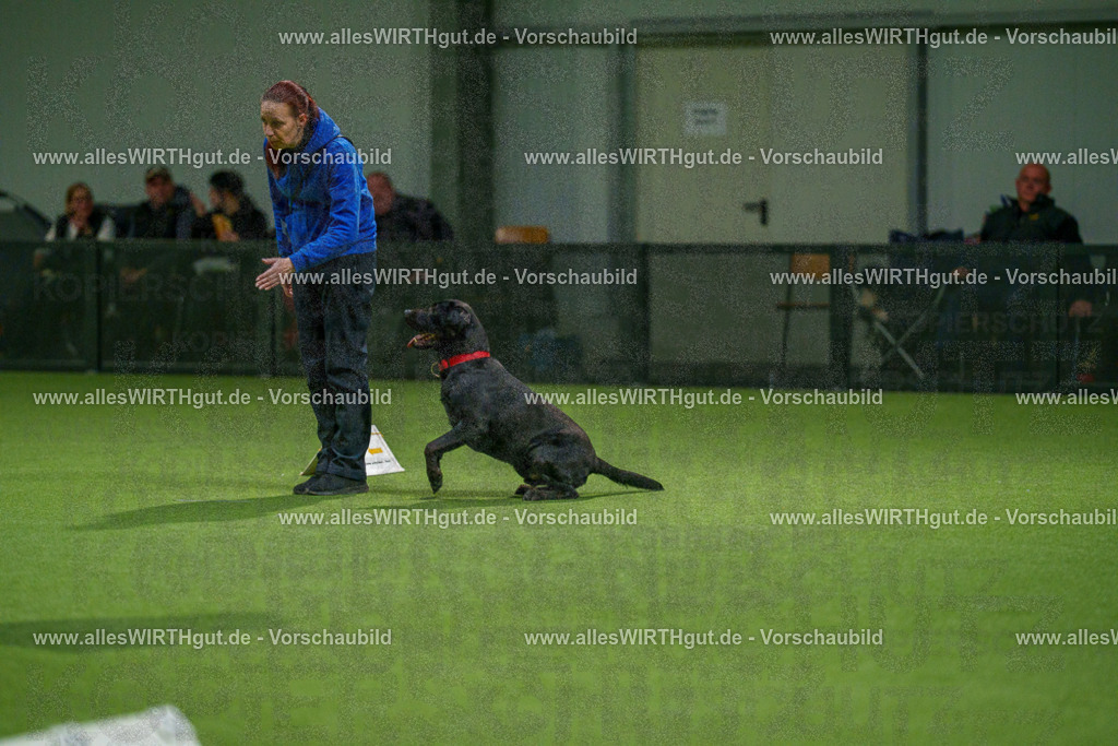 7R508438 | Professionelle Tierfotografie in Mönchengladbach von Daniel Wirth (allesWIRTHgut). Liebevolle & natürliche Bilder von Hunden & Katzen für unvergessliche Erinnerungen.