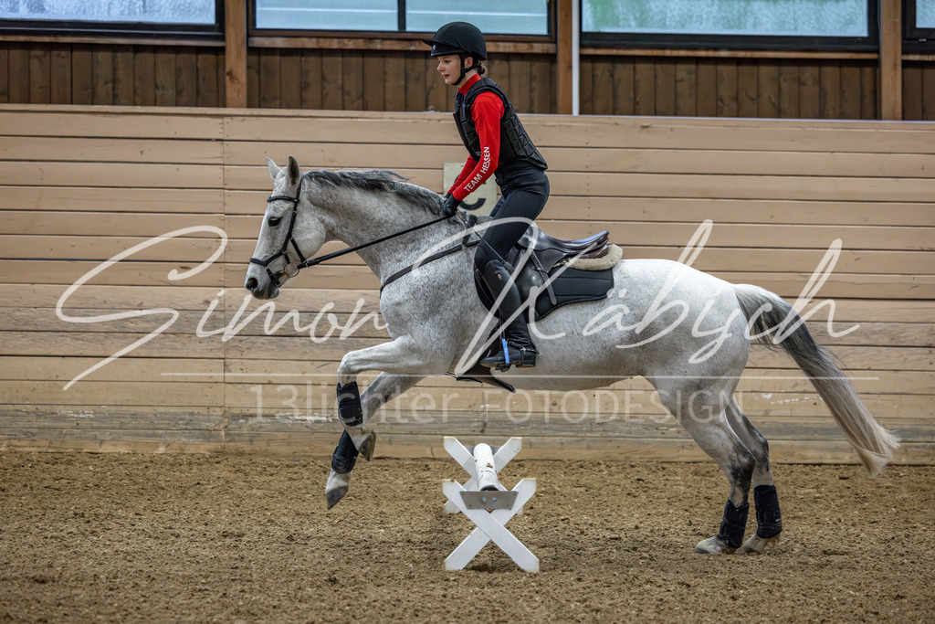 20260222-_3LI0741 | Tierfotografie Pferde, Hunde, Katzen, Haustiere.
Turnierfotografie Reitturniere, Reiten, Springreiten, Dressur in Hanau, dem Main-Kinzig-Kreis und dem Rhein-Main- Gebiet um Frankfurt