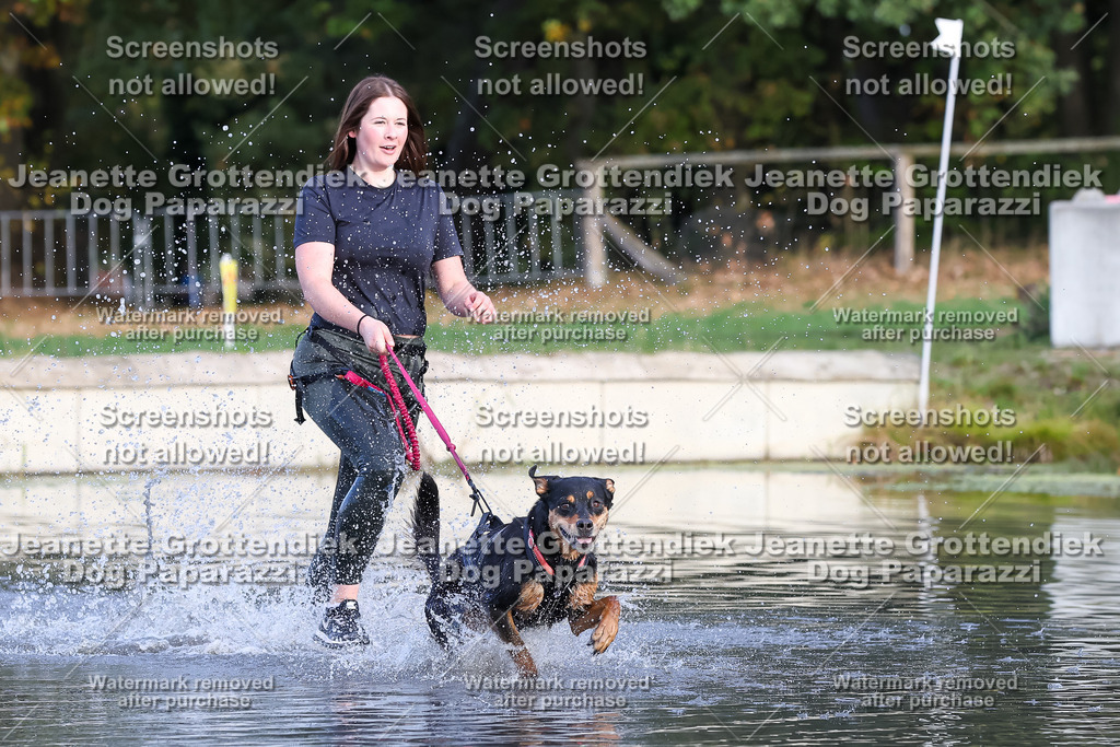 Dog Paparazzi - Strongdog 10-25-8247 | Dog Paparazzi Jeanette Grottendiek Fotografie & Videografie - Realisiert mit Pictrs.com