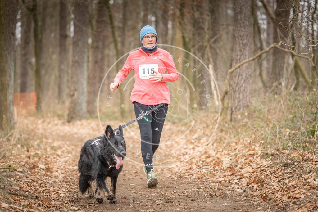 Pfotenfotografie_DV3A7752 | Hundefotografie, Tierfotograf, Pfotenfotografie, Fotoshooting Hund, Hunde Portrait, Hundesport, Hundeportraits, Heideshooting, Hunde, Sportfotograf, Hundefotograf, Turnierhundsport, THS,  - Realisiert mit Pictrs.com