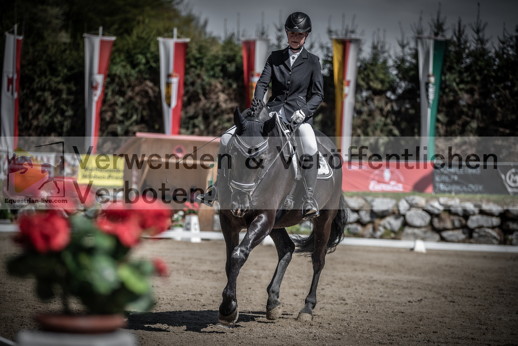 DSC_0248 | equestrian-live-com