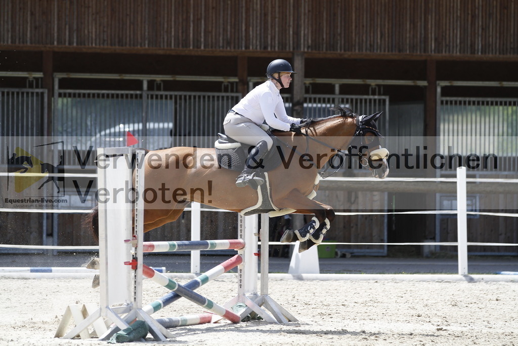 _MG_6499 | equestrian-live-com