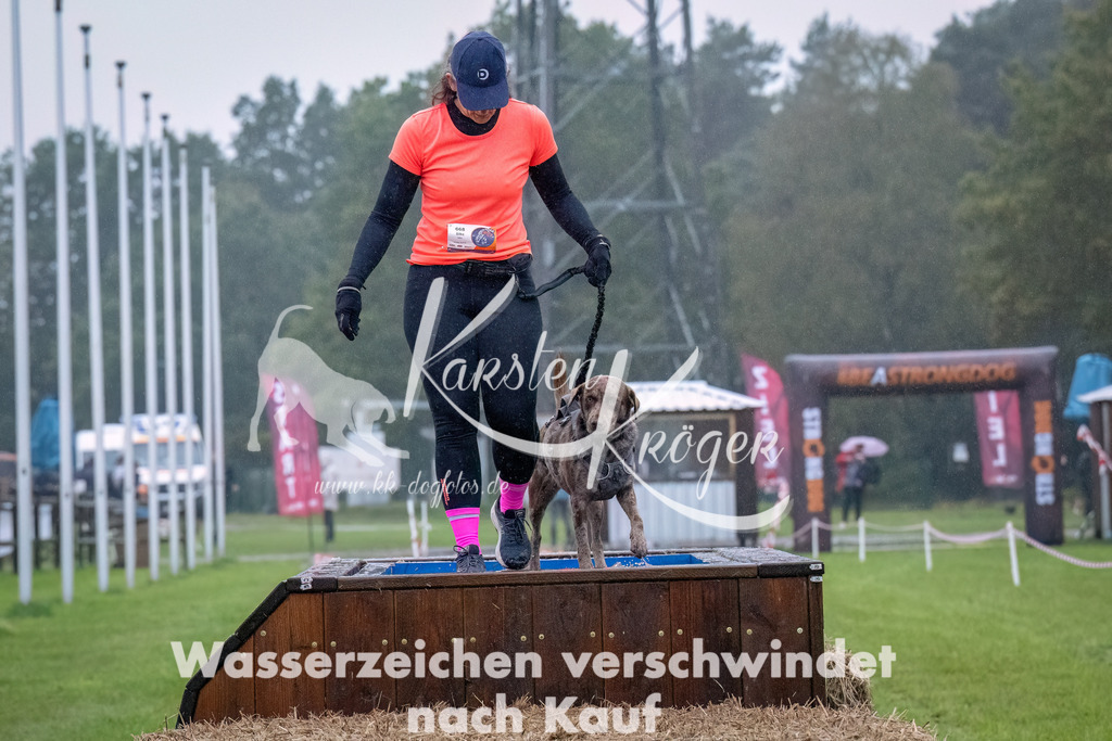 0905-_ZZ93106-Bearbeitet | kk-dogfotos