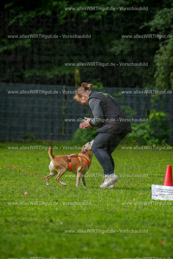 @allesWIRTHgut_Tierfotografie - www.allesWIRTHgut.de - 7R502082 | Professionelle Tierfotografie in Mönchengladbach von Daniel Wirth (allesWIRTHgut). Liebevolle & natürliche Bilder von Hunden & Katzen für unvergessliche Erinnerungen.