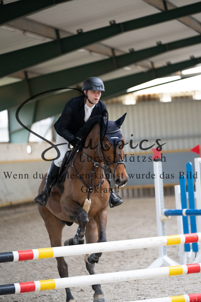 A7V03619 | Pferdefotograf