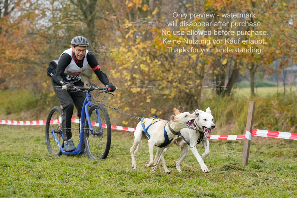 Visbeck_Sa_DS2DR2-34 | stephaniefillaphotographie - Realisiert mit Pictrs.com