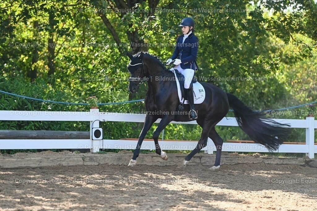 20230715_06_Dressurpferdeprfg. Kl.A_0259 | equistock