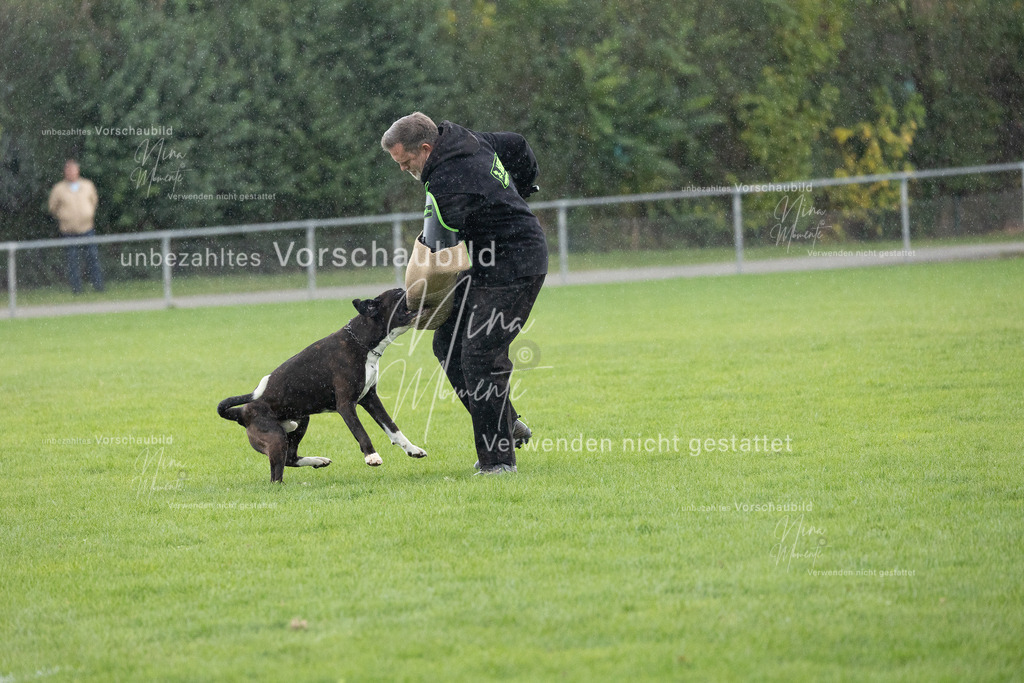 _16A7164 | Einzigartige Fotos von Hunden & Menschen –Actionfotos, Portraits, Vereinsaufnahmen & Paarshootings – authentisch, lebendig & mit Herz.