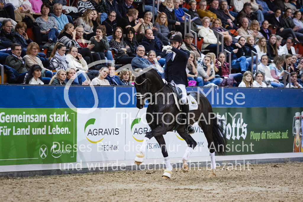 250108_Muenster_Hengstpräsentation-171 | Deine schönsten Turniermomente als professionelle Fotos! Entdecke hochwertige Pferdesport-Fotografie im Online-Shop. Jetzt Fotos finden & bestellen!