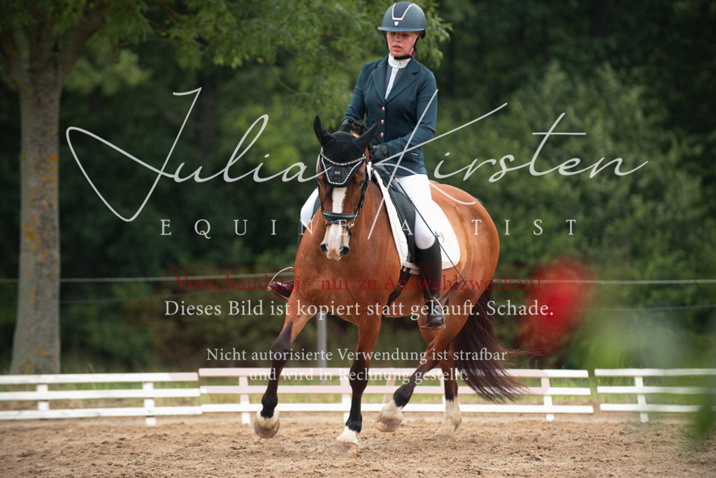 DSC_9847 | Pferde- und Turnierfotografie in Westsachsen. Pferdeportraits, Auftragszeichnungen und intuitive Kunst.