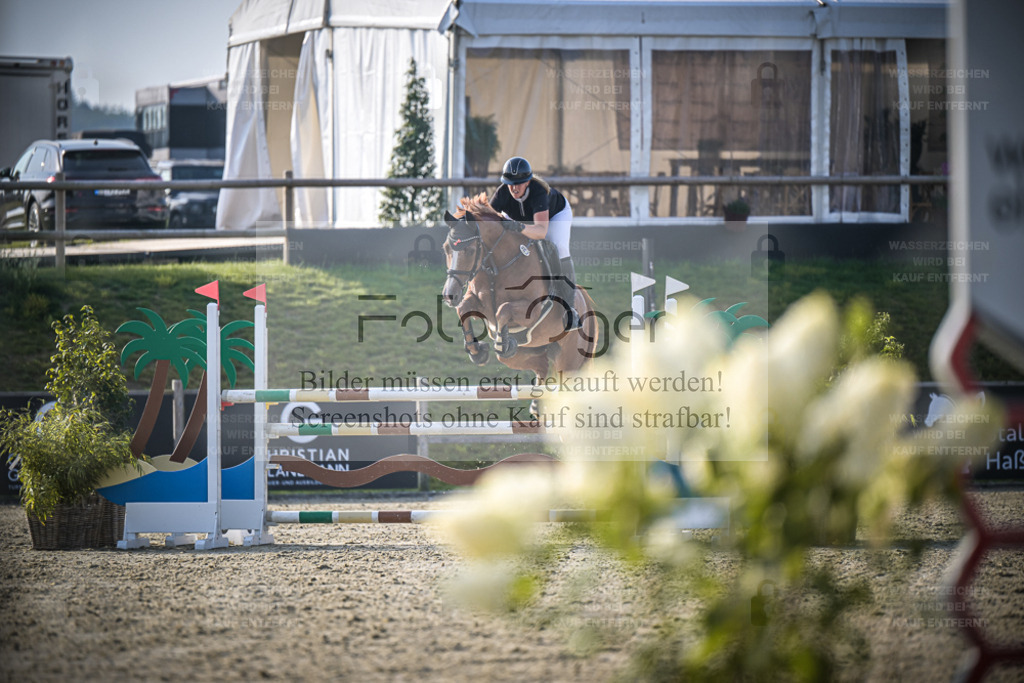 DOS_1766 | Entdecke hochwertige Reitturnierfotos von Foto Oger. Professionell, emotional und authentisch – jetzt Lieblingsmomente im Shop bestellen. - Realisiert mit Pictrs.com