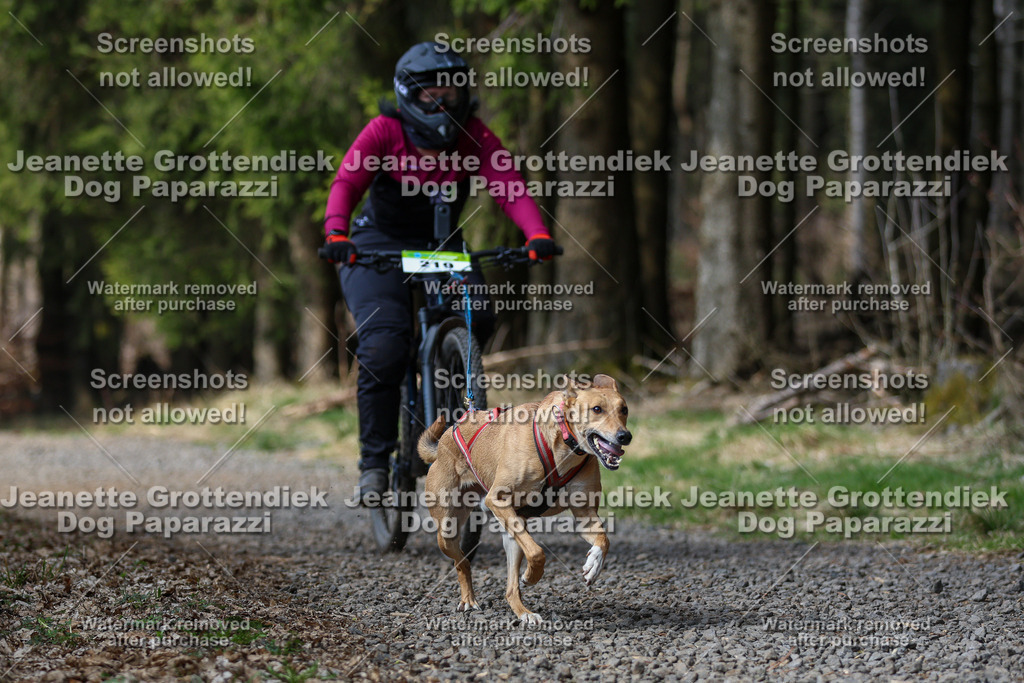 Dog Paparazzi - VCC26-254 | Dog Paparazzi Jeanette Grottendiek Fotografie & Videografie - Realisiert mit Pictrs.com