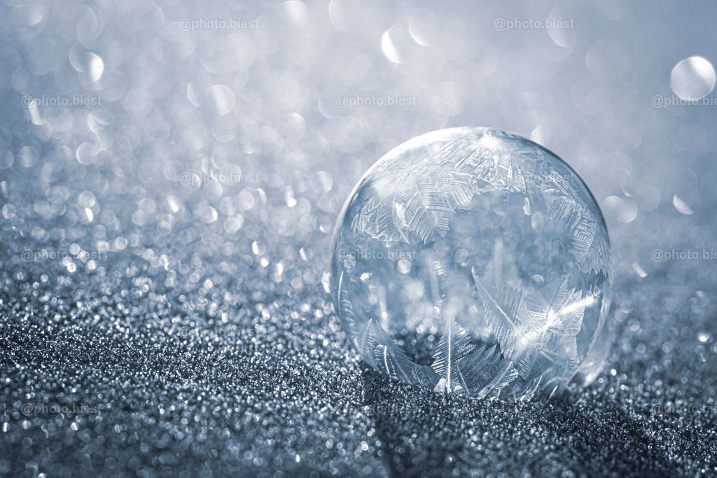 IMGC7716 | photobiest - Realisiert mit Pictrs.com