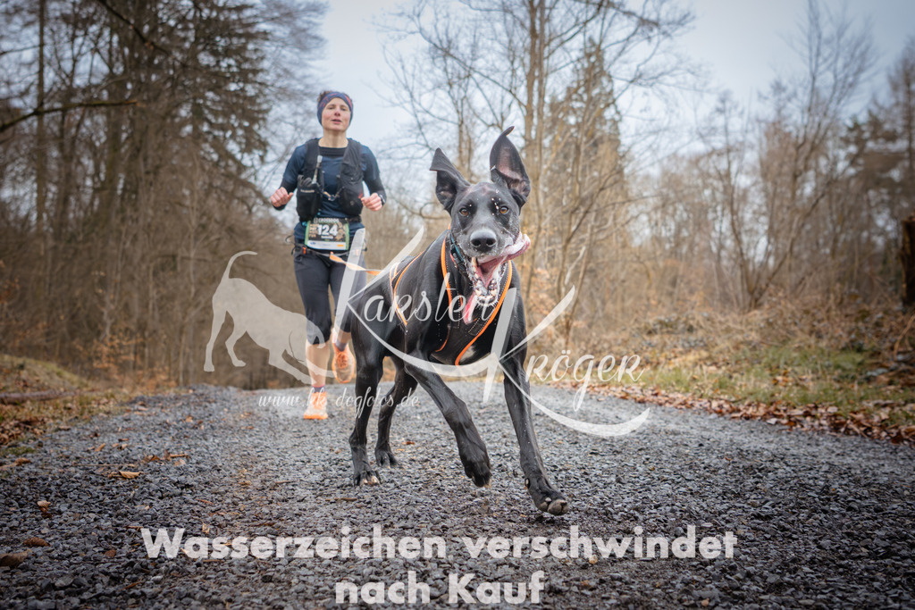 1037_ZZ96196 | kk-dogfotos