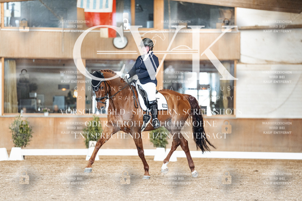 CK901665 | Turnierfotografie Pferdefotografie Trier Rheinland-Pfalz Pferdesport Reitsport Tierfotografie Sportfotografie Pferdevideo Pferdevideografie Equestrianvideography equestrianphotography  - Realisiert mit Pictrs.com